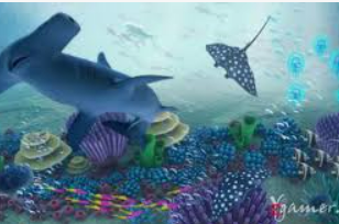 188bet官网入口2024最新版